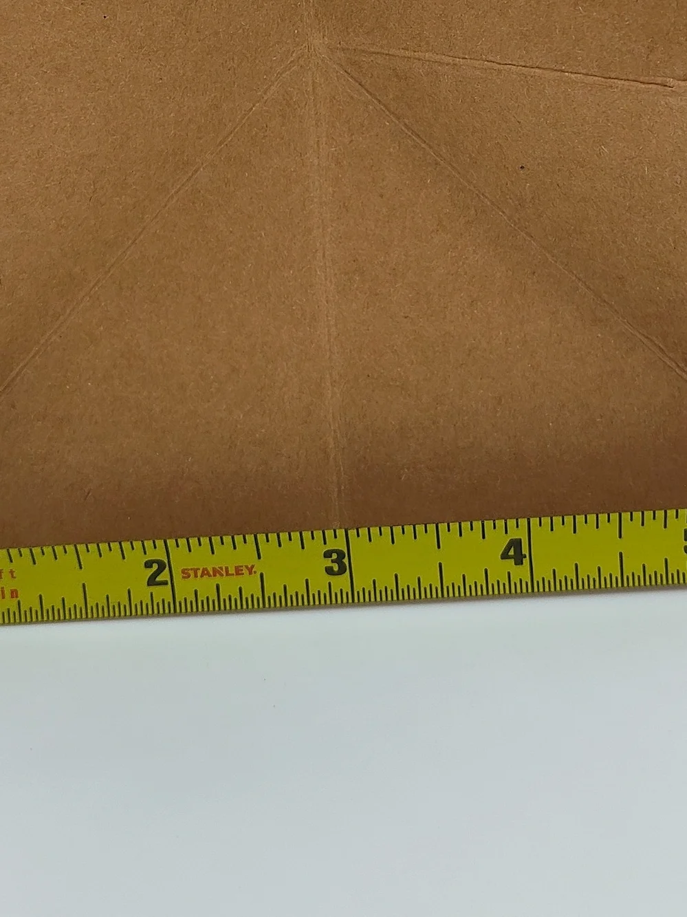 MILK TOAST “May Contain a Wild Raccoon” Large Funny Gift Bag Kraft Paper